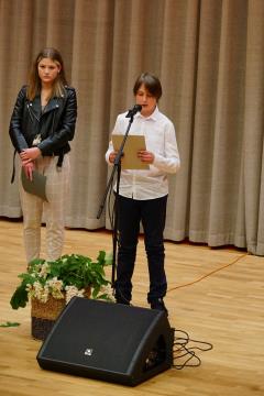 pomniki 11
